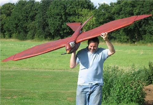 http://forums.modelflying.co.uk/sites/3/images/member_albums/15008/A_happy_man_and_his_bird.jpg