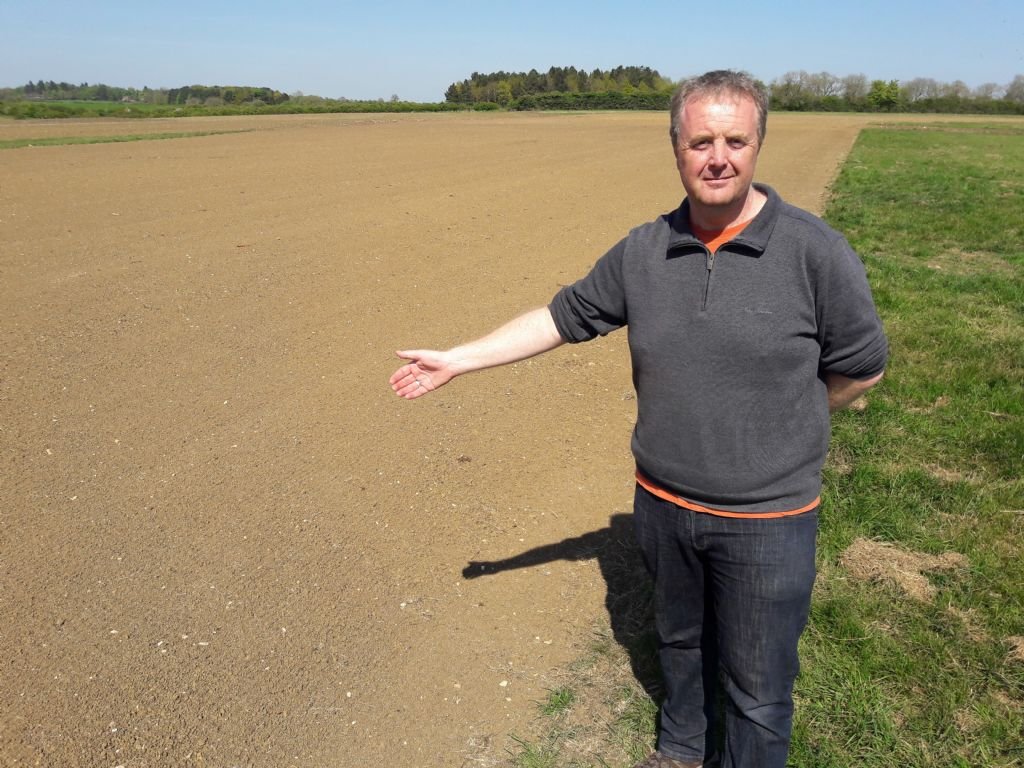 By the runway waiting for the grass seed to grow Member Albums RCM