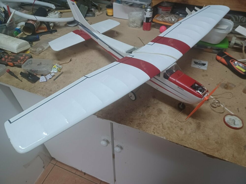 1/2A Carl Goldberg Cessna Skylane - All Things Model Flying - RCM&E ...